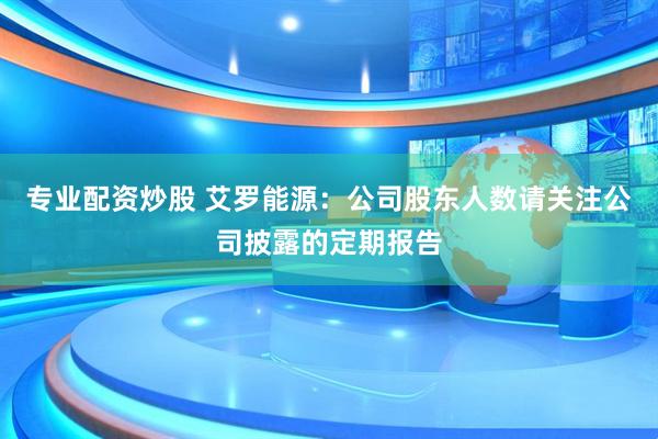 专业配资炒股 艾罗能源：公司股东人数请关注公司披露的定期报告