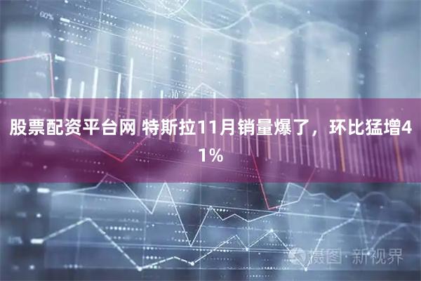 股票配资平台网 特斯拉11月销量爆了，环比猛增41%
