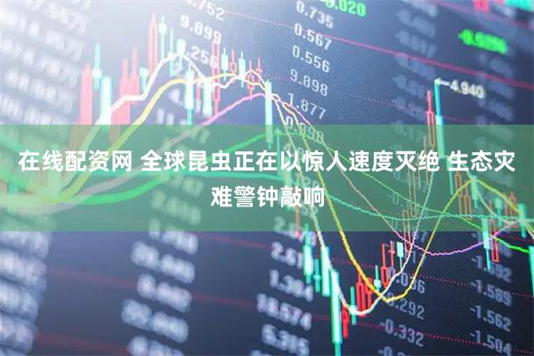 在线配资网 全球昆虫正在以惊人速度灭绝 生态灾难警钟敲响