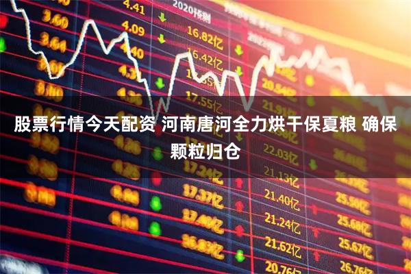 股票行情今天配资 河南唐河全力烘干保夏粮 确保颗粒归仓